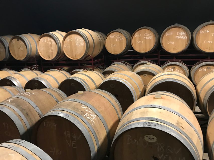 From Albufeira: Wine Tasting & Historic Silves Tour - Booking details worth knowing