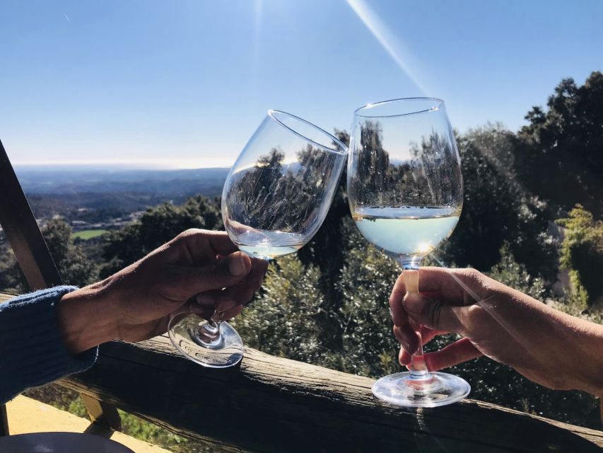 From Albufeira: Wine Tasting & Historic Silves Tour - A quick look at Moorish Silves