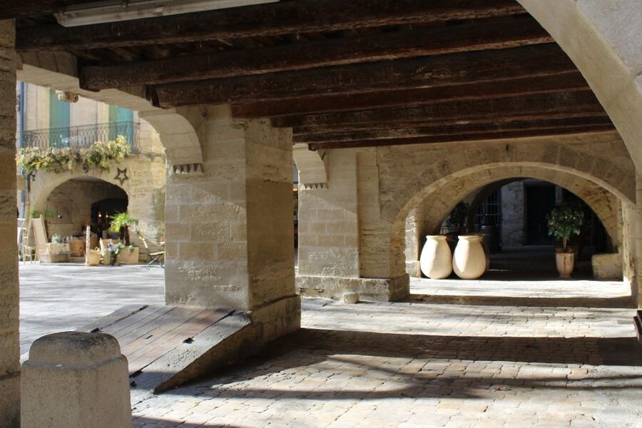From Avigno: Full-Day Roman Sites and Historical Places Tour - Who should book this Roman Provence outing?