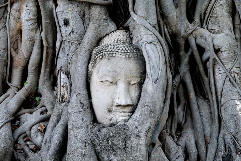From Bangkok: Ayutthaya Heritage Tour with Sunset Boat Ride - Wat Maha That and the Buddha in the roots