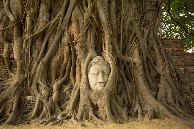 From Bangkok: Ayutthaya Temples Small Group Tour with Lunch - Wat Mahathat and the famous Buddha in tree roots