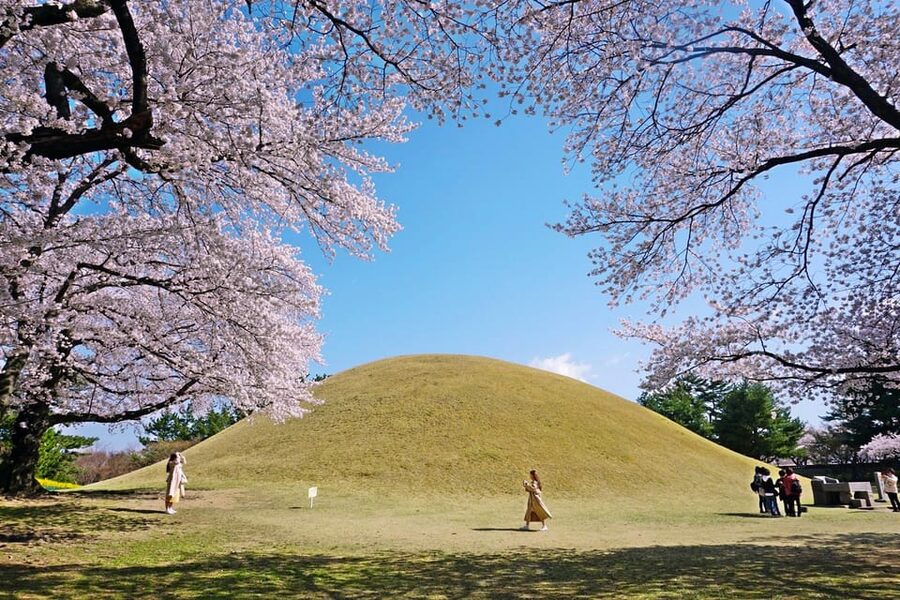 From Busan: Echoes of Silla Gyeongju Historical Day Tour - Hwangnidan-gil: a modern street beside ancient sites