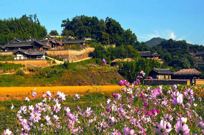 From Busan: Gyeongju UNESCO World Heritage Guided Day Tour - Walking, weather, and the pace of the day