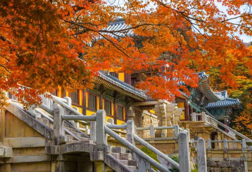 From Busan: Gyeongju UNESCO World Heritage Guided Day Tour - Why Gyeongju works so well as a day trip from Busan