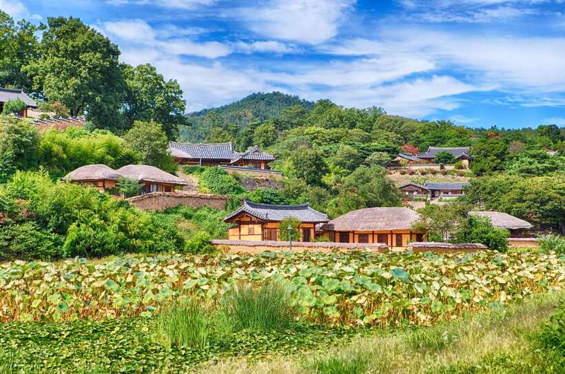 From Busan: Gyeongju UNESCO World Heritage Guided Day Tour - Daereungwon Royal Tombs and the Cheonmachong visit