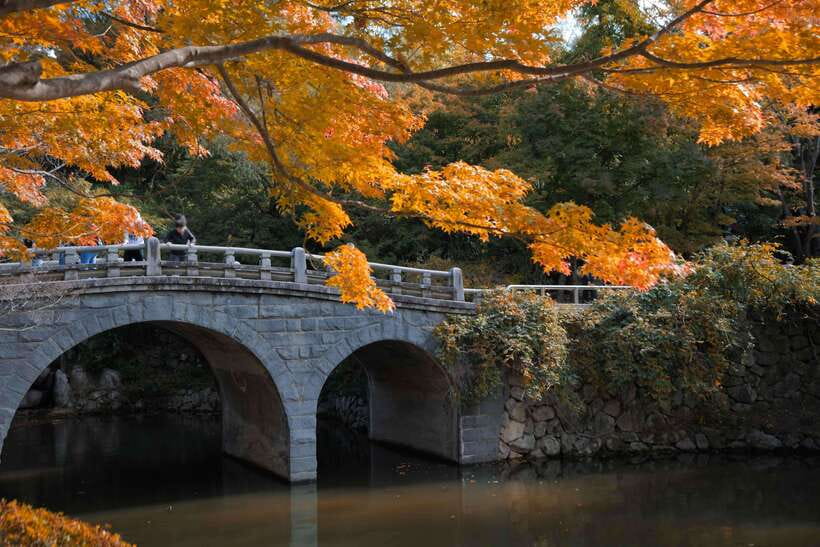 From Busan: Gyeongju UNESCO World Heritage Guided Day Tour - Woljeong Bridge and Donggung Palace after dark
