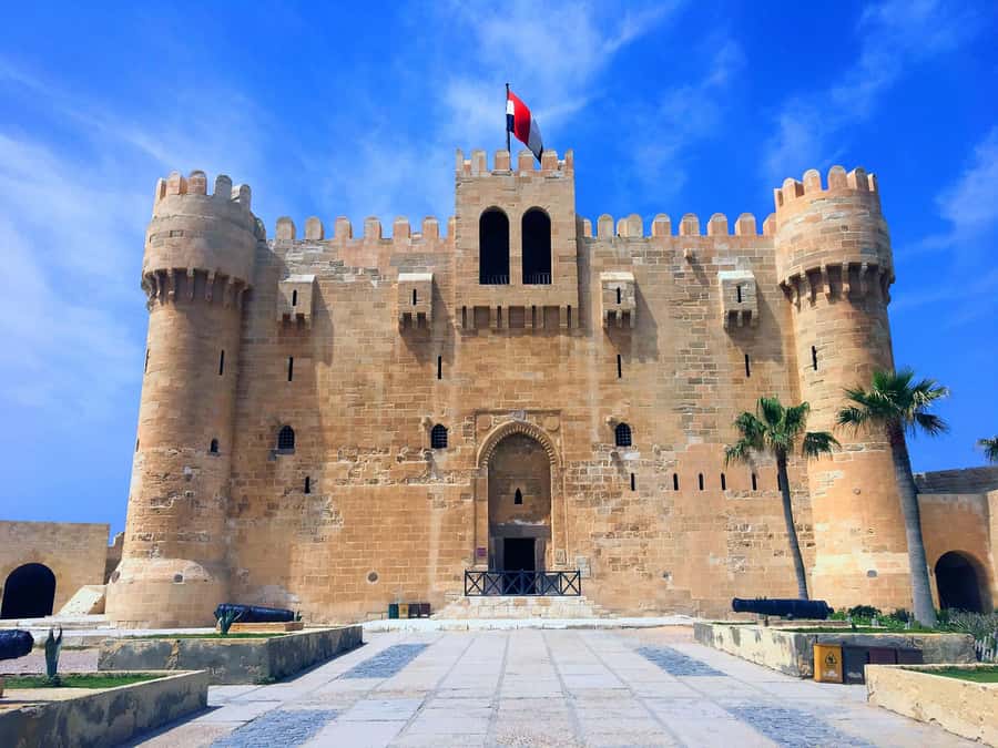 From Cairo: Private Full-Day Tour of Historical Alexandria - Guides make the difference