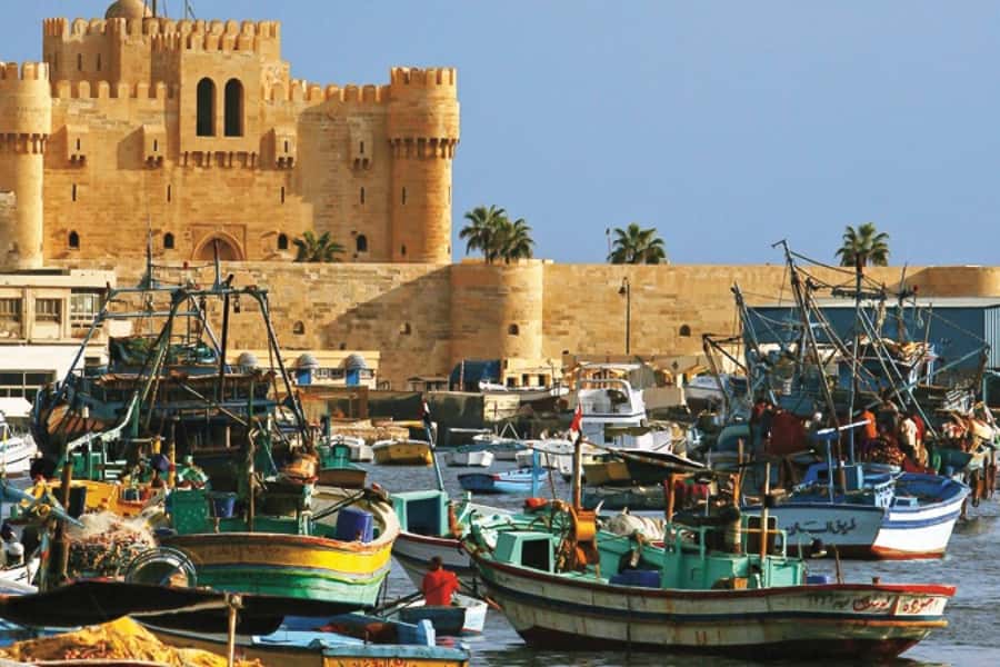 From Cairo: Private Full-Day Tour of Historical Alexandria - Alexandria is worth the long ride from Cairo