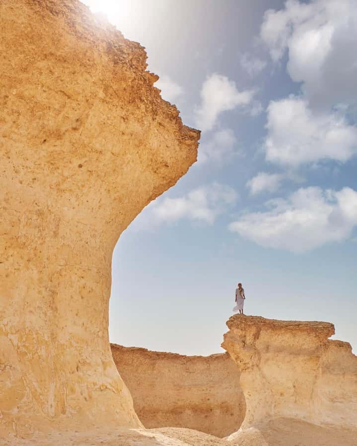 From Doha: Culture & History Qatar Tour to the North & West - Who will enjoy this tour most