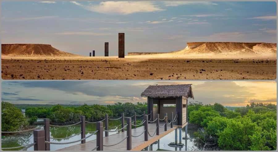 From Doha: Culture & History Qatar Tour to the North & West - Al Zubarah Fort and the story of old trade