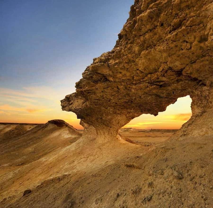 From Doha: Culture & History Qatar Tour to the North & West - What $63 includes, and what it does not