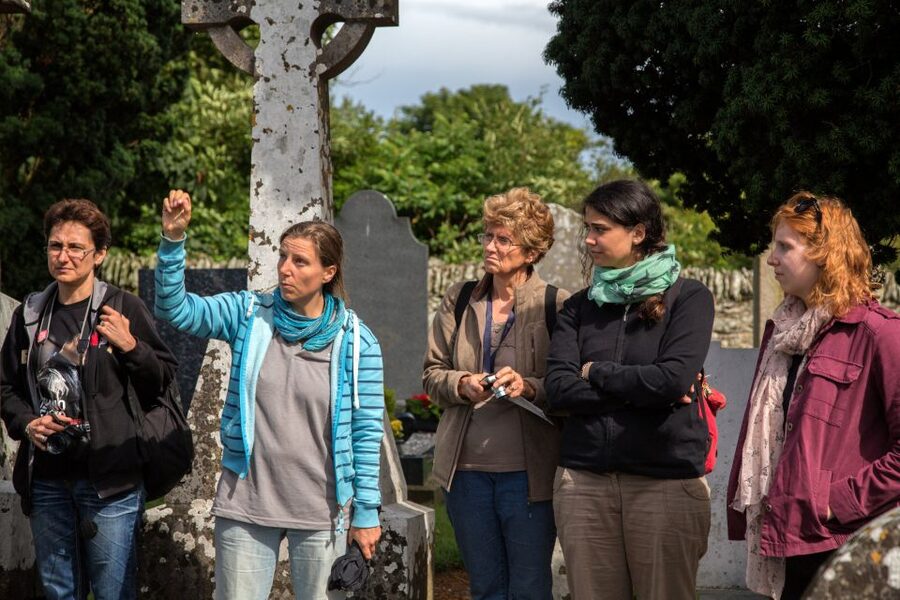 From Dublin: Celtic Boyne Valley and Ancient Sites Tour - Why the Boyne Valley makes a good day from Dublin