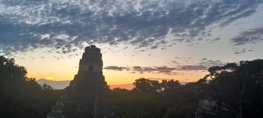 From Flores: Tikal Sunrise Archaeological Tour - Temple IV and the first light