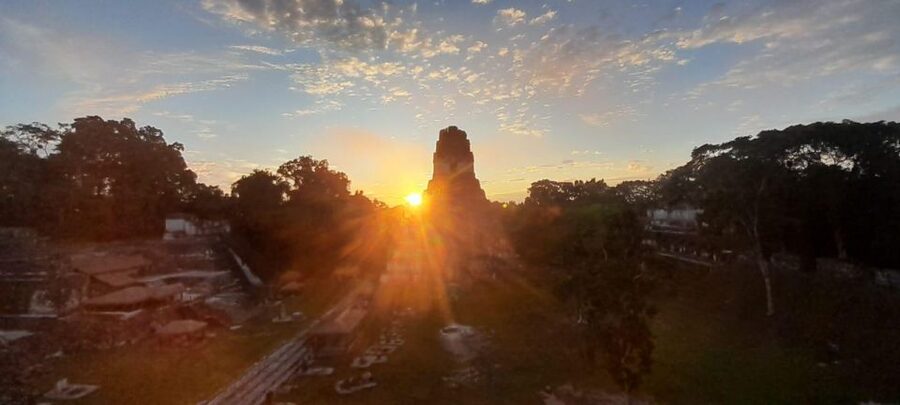 From Flores: Tikal Sunrise Archaeological Tour - Jungle wildlife is part of the route