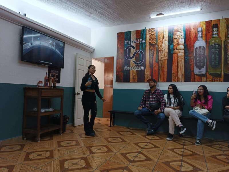 From Guadalajara to Chapala Lake: Funny and cultural tour - Transport, timing, and guide quality