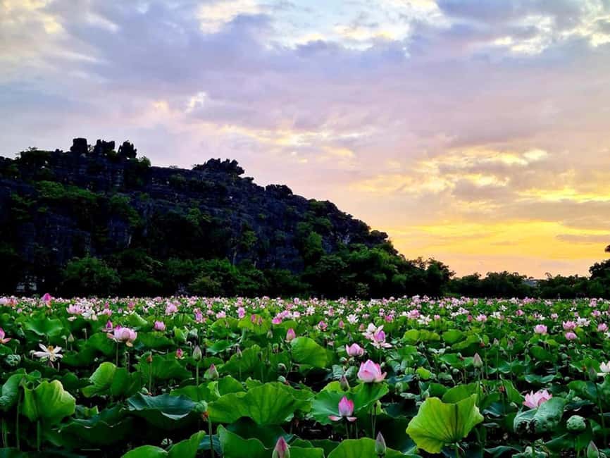 From Hanoi: Trang An eco-tourism - Hoa Lu ancient & Mua Cave - Who should book this tour