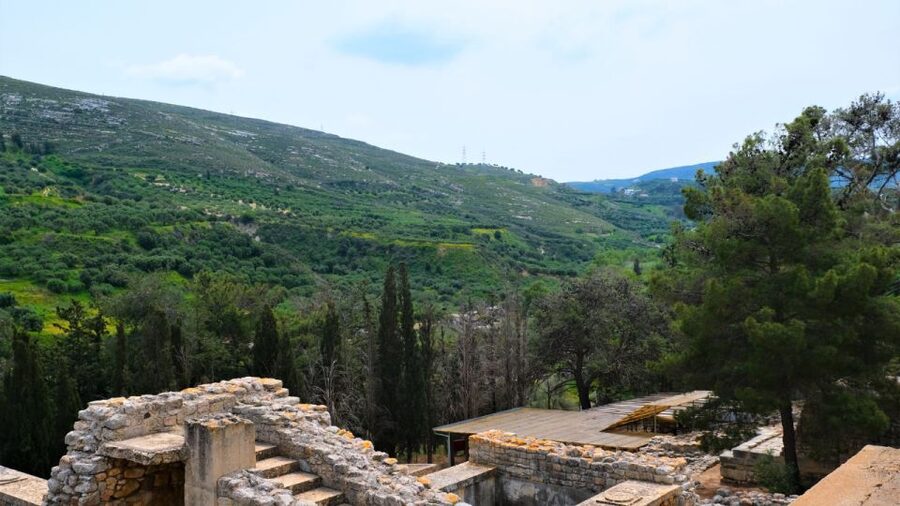 From Heraklion: Historical Center City Tour & Knossos Palace - Should you add the Archaeological Museum?