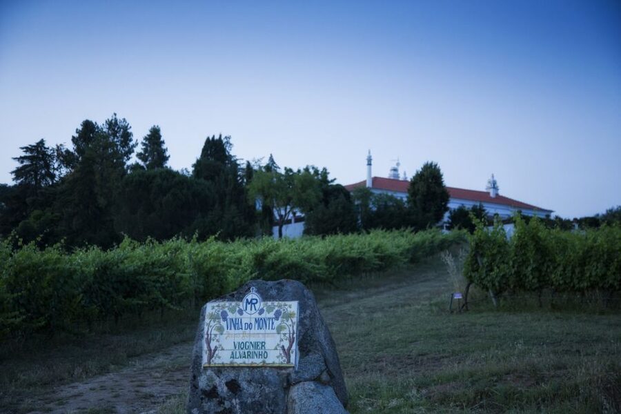 From Lisbon: Évora Wine & Heritage Tour - The return to Lisbon and the full-day trade-off