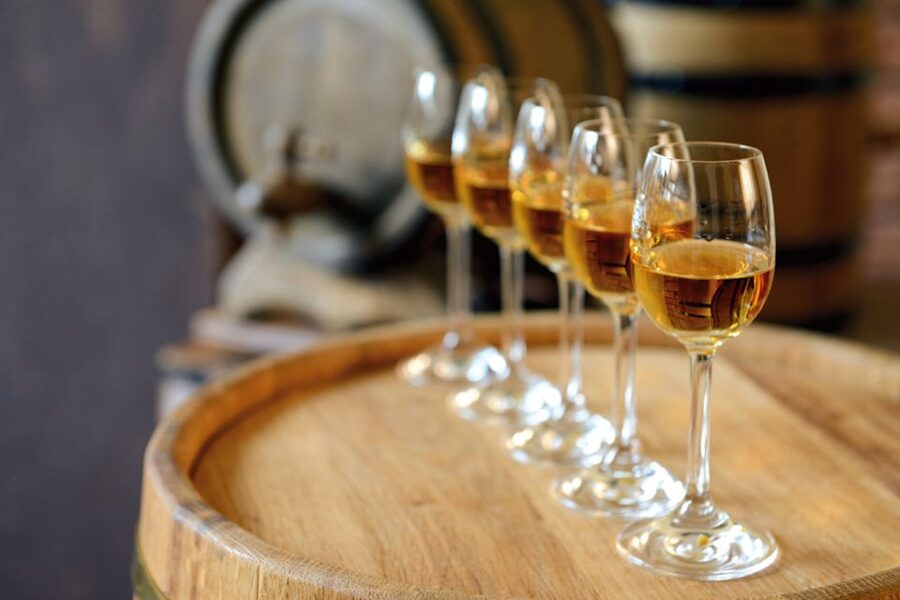 From Lisbon: Évora Wine & Heritage Tour - Why Évora makes a good day trip from Lisbon