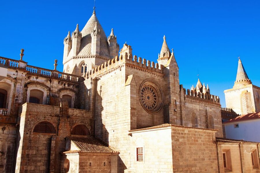 From Lisbon: Évora Wine & Heritage Tour - A taste of daily Alentejo at the market