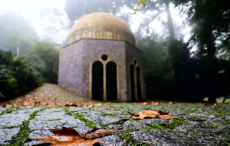 From Lisbon: Sintra's Historical and Natural Gems - Who should book this experience?