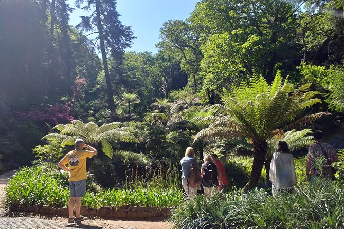 From Lisbon: Sintra's Historical and Natural Gems - Sintra old town: lunch, pastries, and breathing room