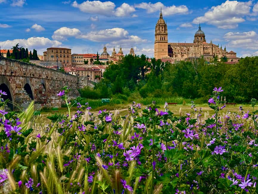 From Madrid: Ávila and Salamanca, a day among history and walls - Arriving in Ávila beneath the medieval walls
