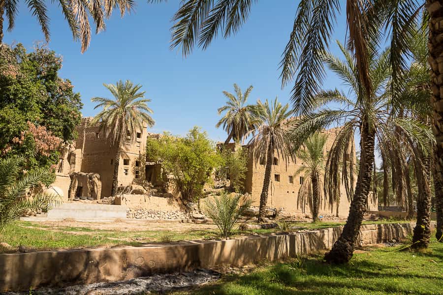 From Muscat: Nizwa and Oman's Historical Gems Tour - Option 3: Nizwa Fort and Oman Across Ages Museum