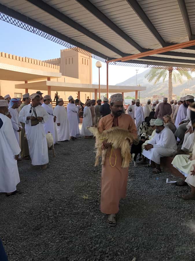From Muscat: Nizwa and Oman's Historical Gems Tour - Guides, vehicles, and the feel of the day