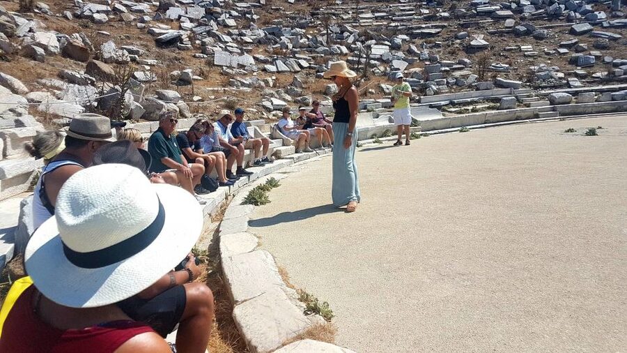 From Mykonos: Ancient Delos Tour - Who will enjoy this Delos excursion most