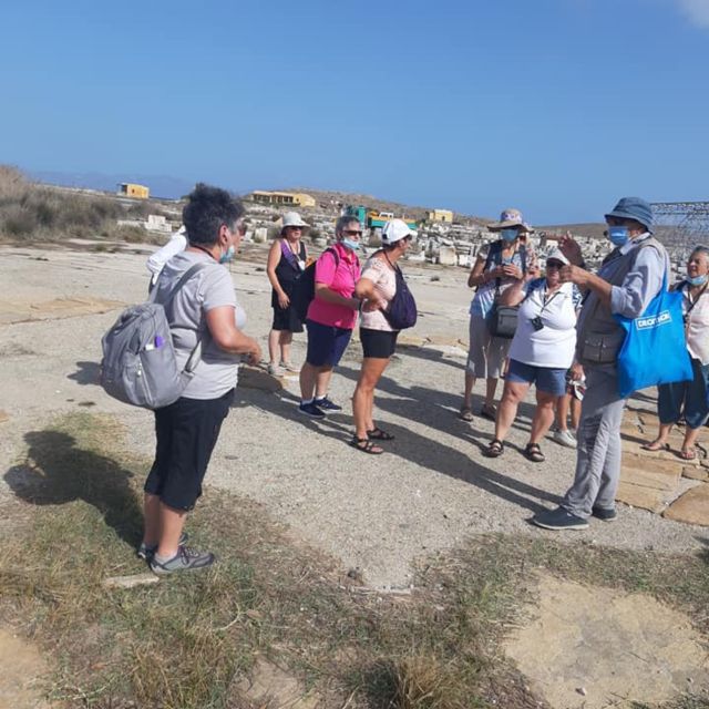 From Mykonos: Ancient Delos Tour - The Temple of Apollo and Sanctuary of Artemis