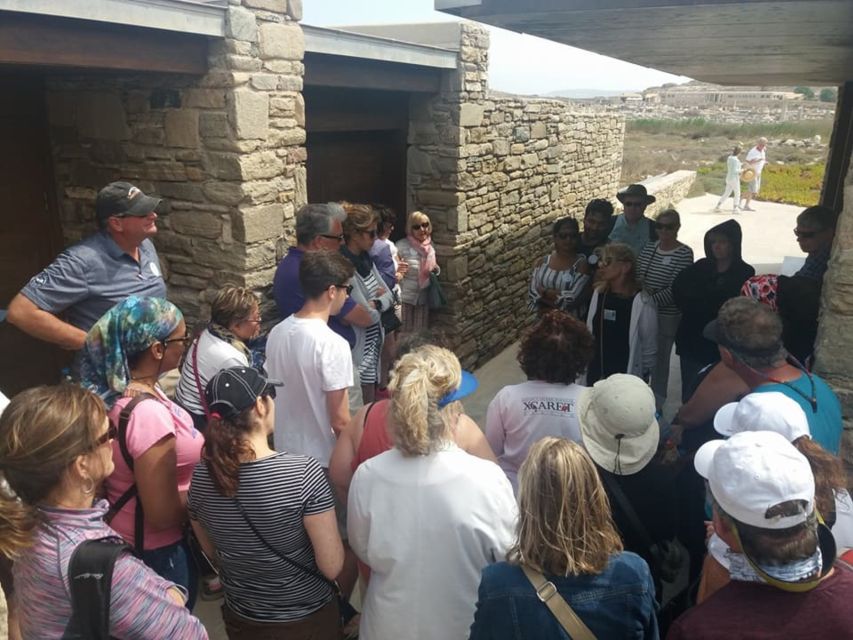 From Mykonos: Ancient Delos Tour - The Terrace of the Lions and the old theater