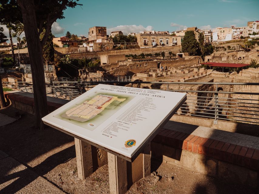 From Naples: Pompeii & Herculaneum with Archaeologist Guide - Key points to know before booking