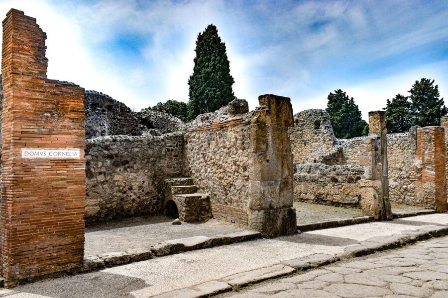 From Naples: Ruins of Pompeii - Returning to Naples and planning the rest of your day