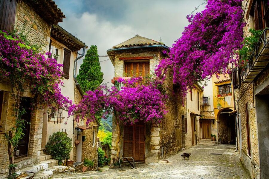 From Nice: Provence and its Medieval Villages Full-Day Tour - The Saut du Loup waterfalls on the mountain road