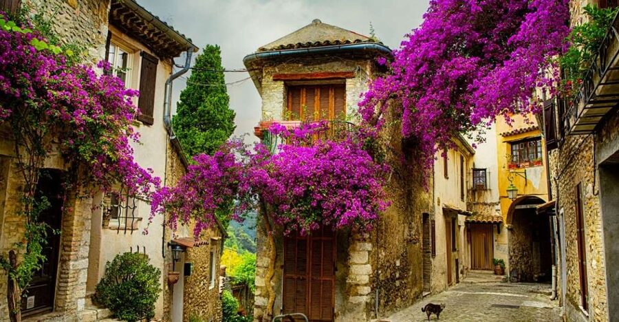 From Nice: Provence and its Medieval Villages Full-Day Tour - Grasse and the Fragonard perfume tradition