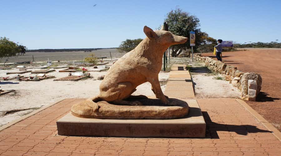 From Perth: Wave Rock, York and Aboriginal Cultural Tour - Crossing farming country to Corrigin and Kondinin