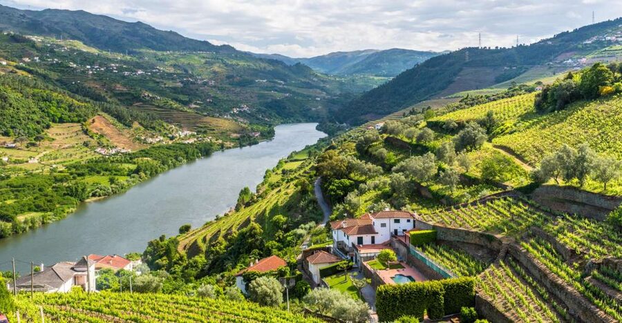 From Porto: Full-Day Douro Historical Tour - Viewpoints, hills, and the road into wine country