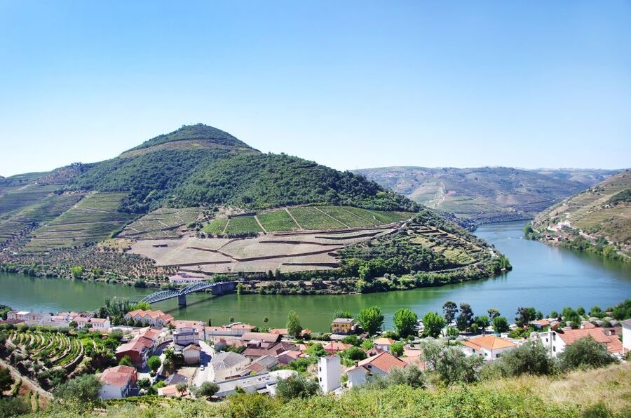 From Porto: Full-Day Douro Historical Tour - A local lunch that keeps the day moving