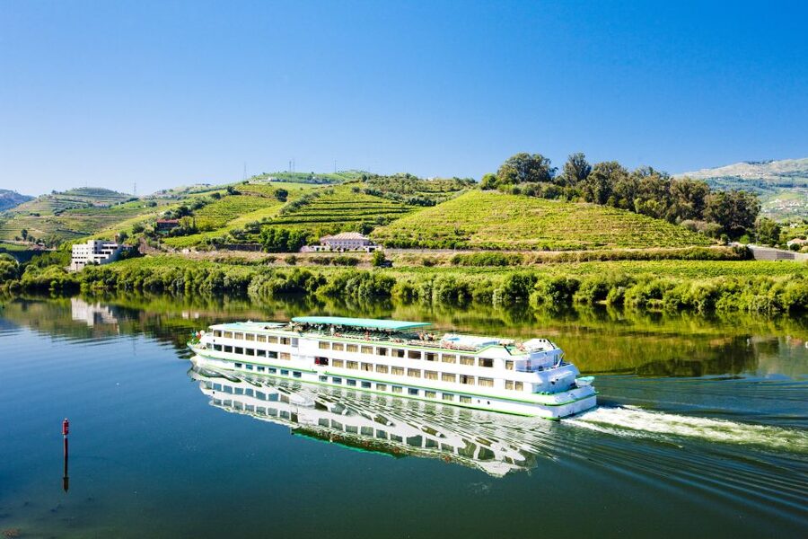 From Porto: Full-Day Douro Historical Tour - The guide and group experience
