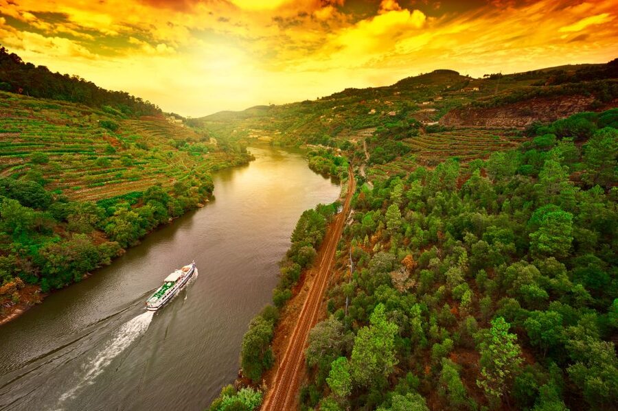 From Porto: Full-Day Douro Historical Tour - Who should book this day from Porto?