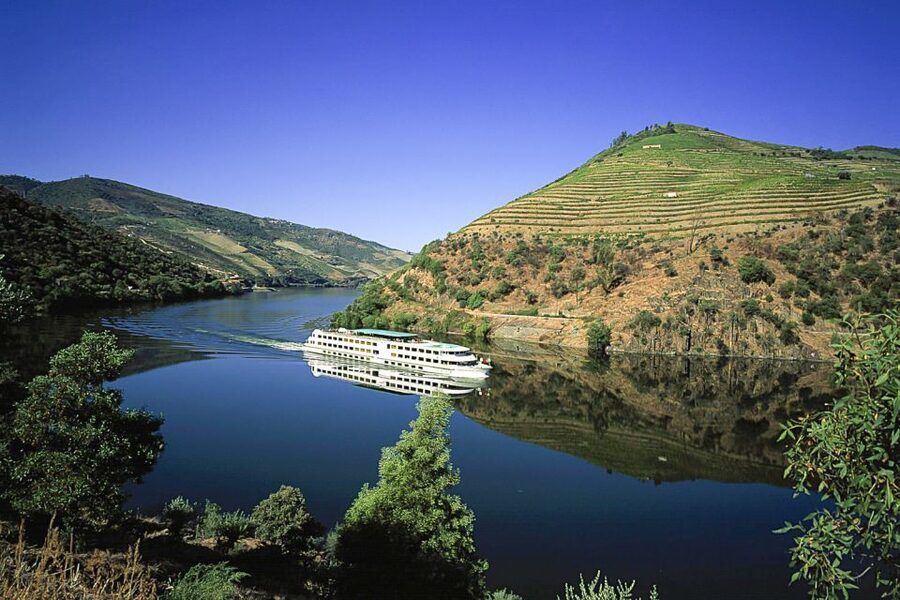 From Porto: Full-Day Douro Historical Tour - Amarante and the Monastery of Saint Gonçalo