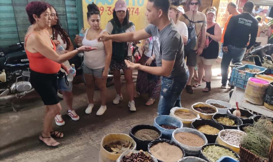 From Punta Cana: History and Culture Tour with River Swim - Coffee, cocoa, vanilla, and fruit at a working farm