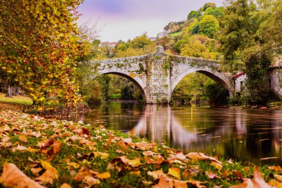 From Santiago: Ribeira Sacra History & Art Trip with Cruise - Who should book this Galicia day trip?