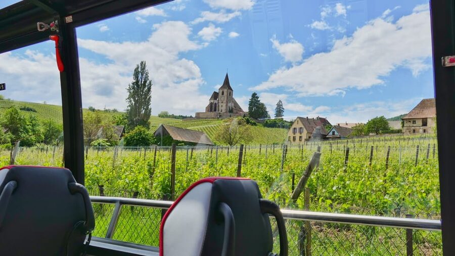 From Strasbourg: Medieval Villages & Wine Tasting Day Trip - The Route des Vins between villages