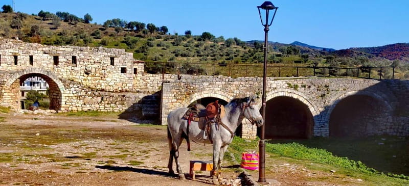 From Tirana: Berat UNESCO Heritage & Belshi Lake Tour - Belshi Lake gives the drive a pleasant pause