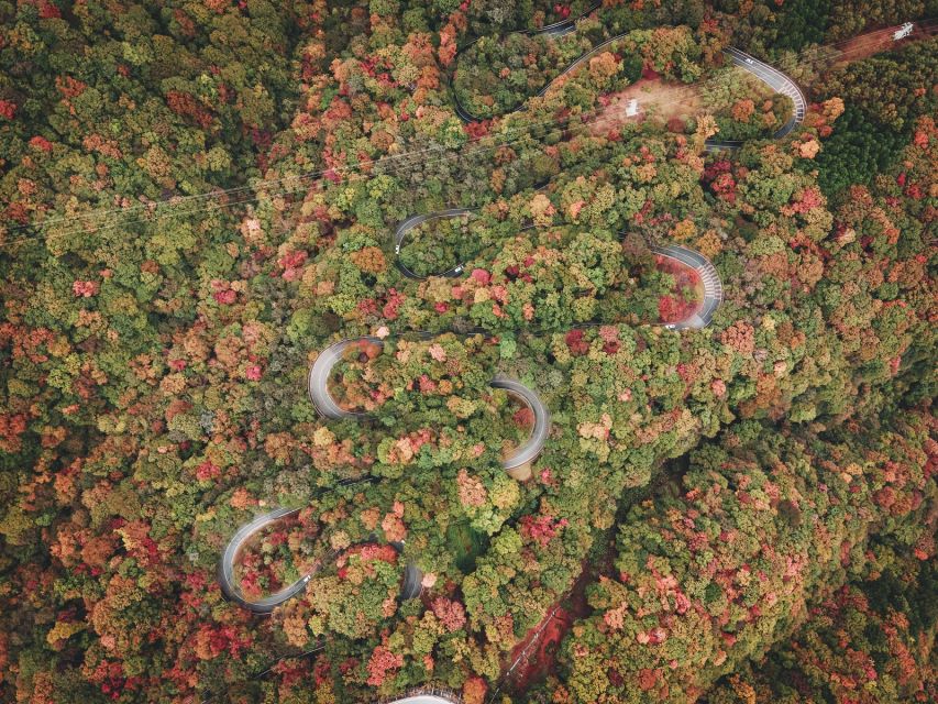 From Tokyo: Guided Day Trip to Nikko World Heritage Sites - Why Nikko works as a day trip from Tokyo