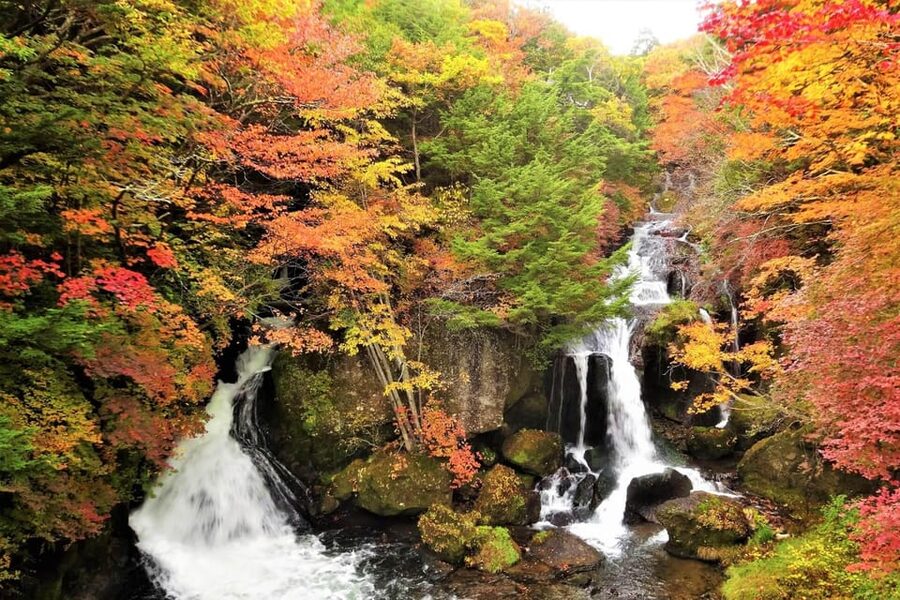 From Tokyo: Nikko World Heritage Site Private Full-Day Trip - Why Nikko works so well as a day away from Tokyo