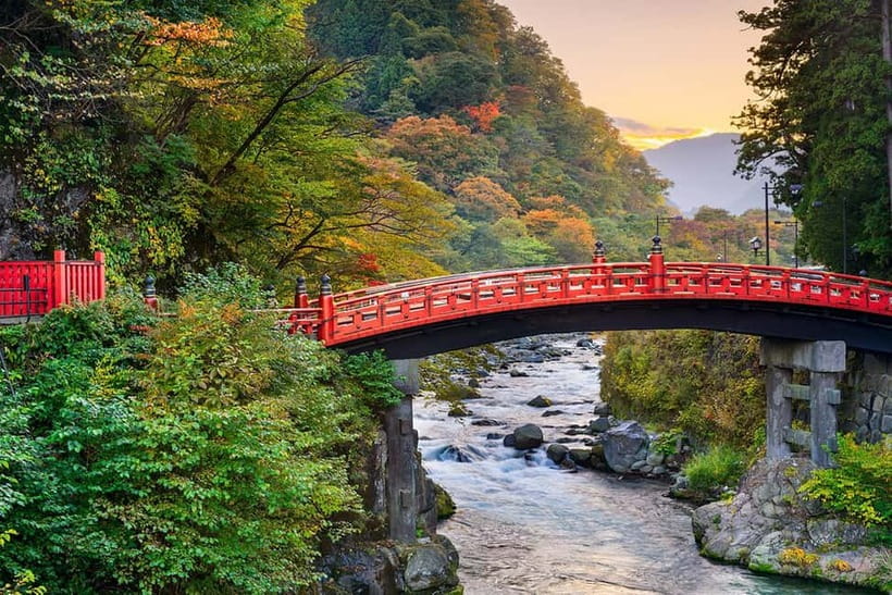 From Tokyo: Nikko World Heritage Site Private Full-Day Trip - The long ride north in a private luxury vehicle
