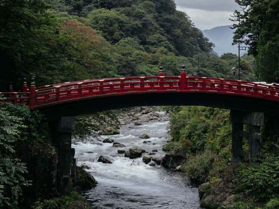 From Tokyo: Private Nikko World Heritage Sights One Day Trip - Who gets the most from this tour